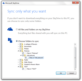 SkyDrive-sync-12